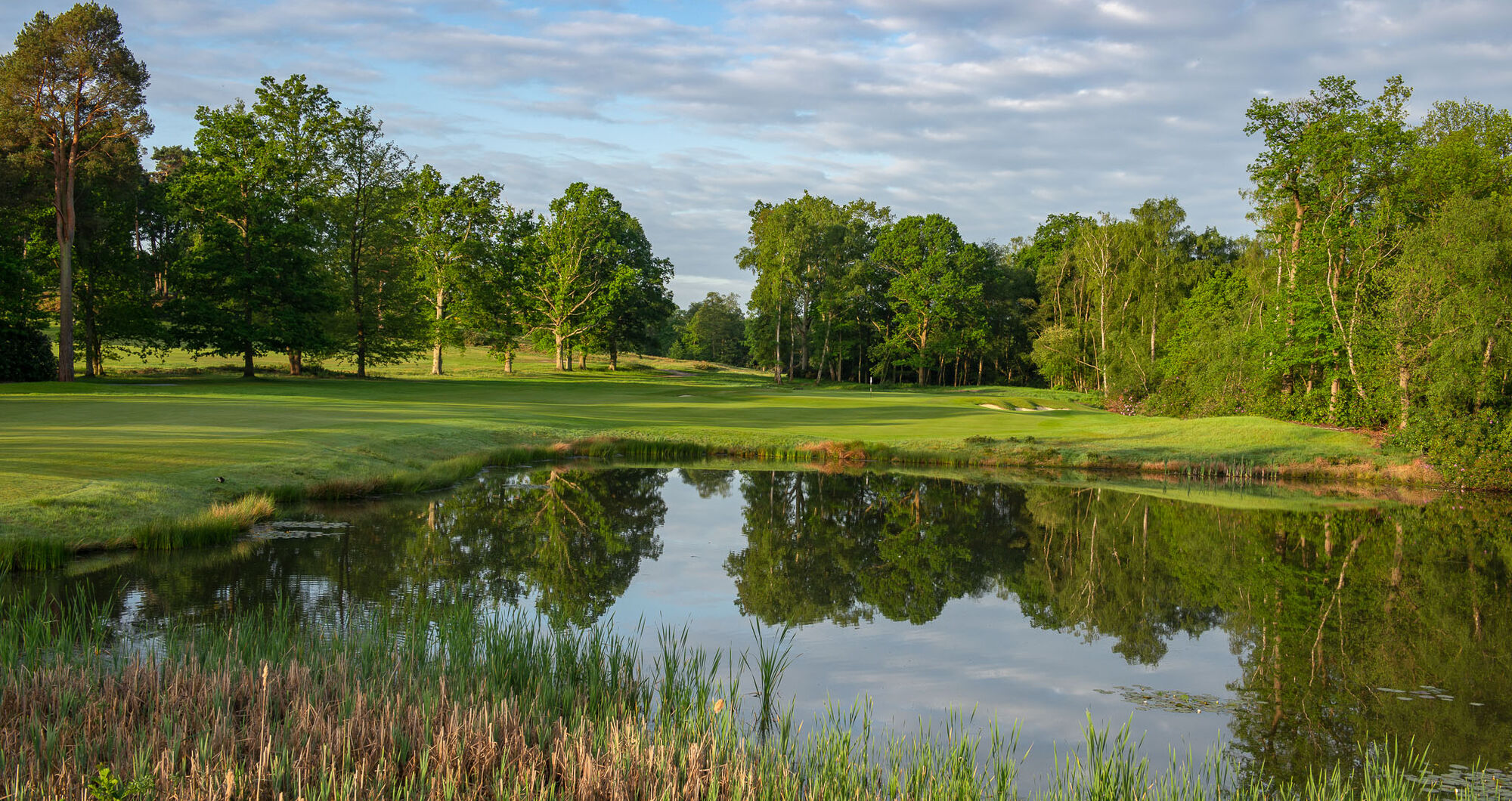 North Hants Golf Club