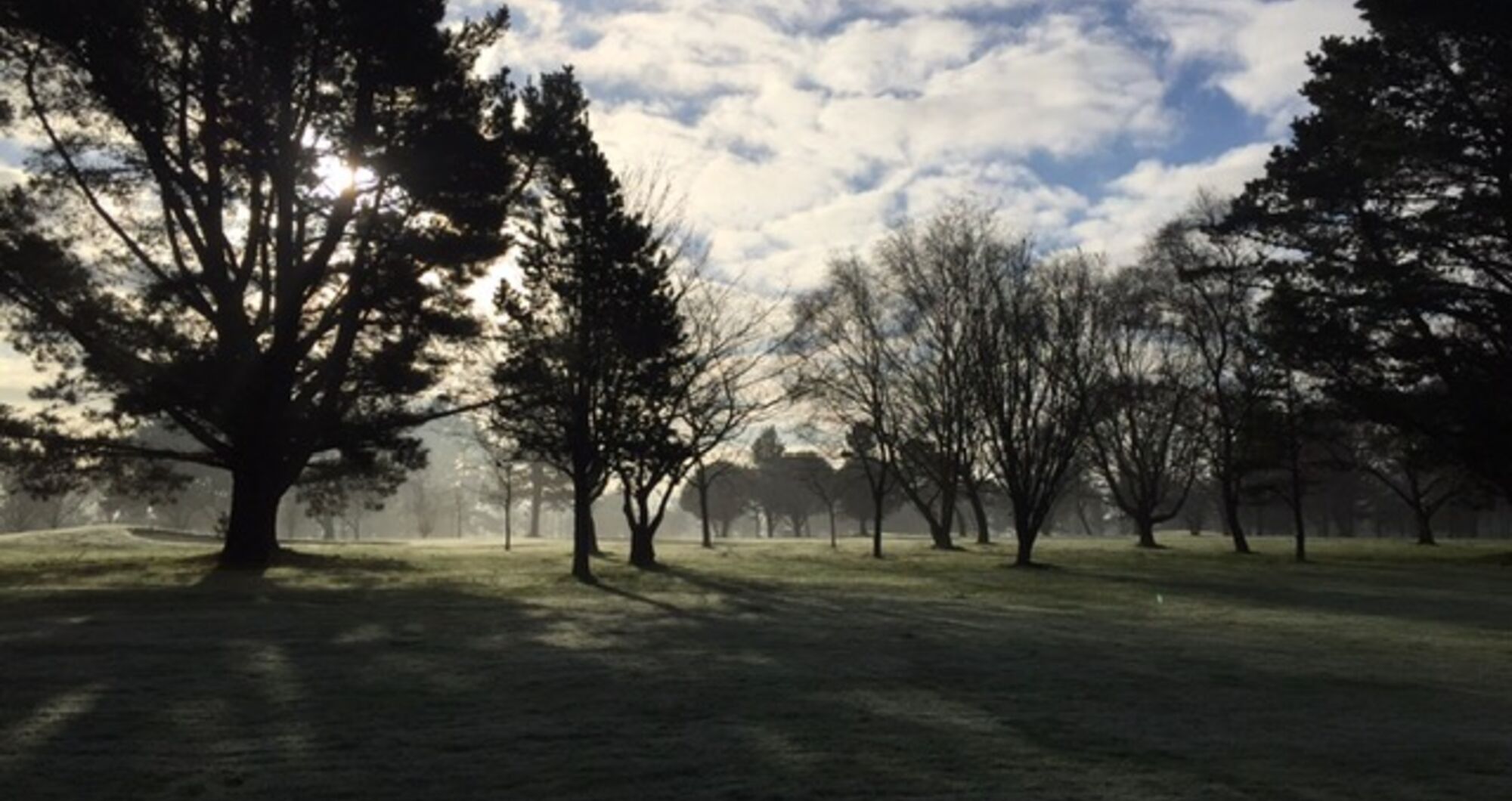 Bramshott Hill